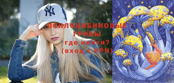 МДМА Алексеевка