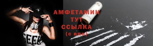 стафф Алзамай