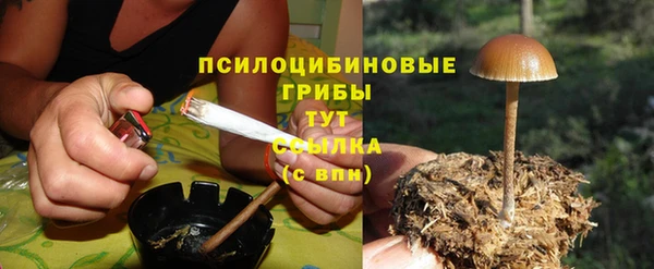 стафф Алзамай